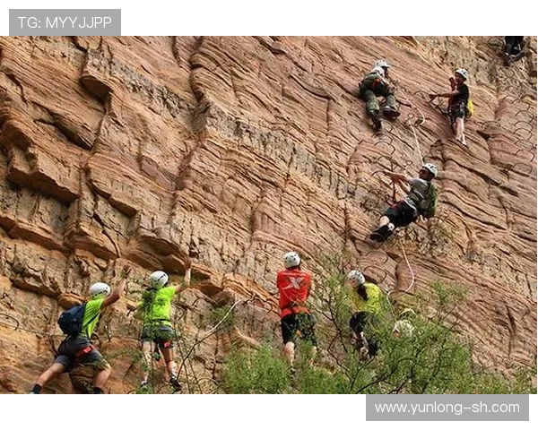 武汉城市马拉松点评:攀岩队展现出色节奏与团队协作的精彩表现