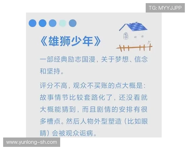 何思雨：在风雨中追寻梦想的勇者与坚持者的故事
