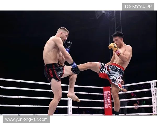 张君龙与董泰山的巅峰对决谁将成为武林传奇的继承者 张君龙与董泰山的巅峰对决谁将成为武林传奇的继承者