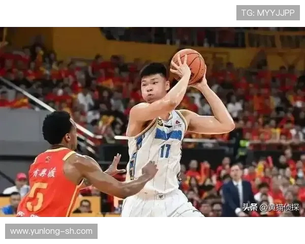 范子铭：从青年才俊到篮球场上的璀璨明星之路探秘