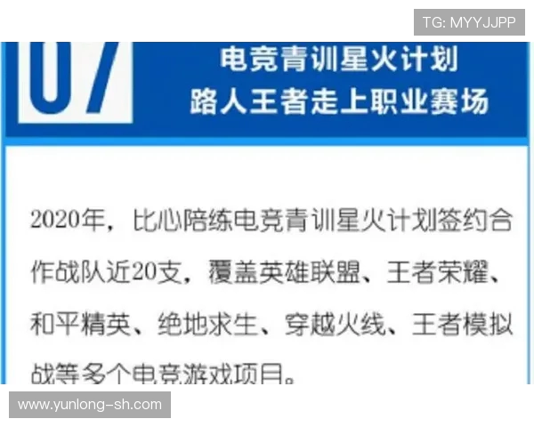 王者荣耀深度解析:探讨FPX战队的运营策略与成功之道 王者荣耀深度解析:探讨FPX战队的运营策略与成功之道