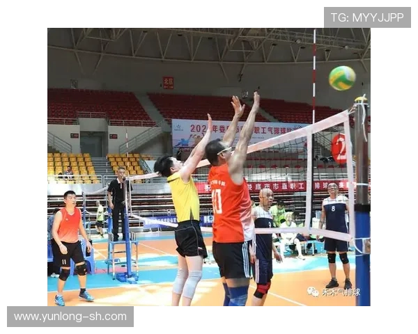 排球训练装备全攻略：必备器材推荐与选购指南